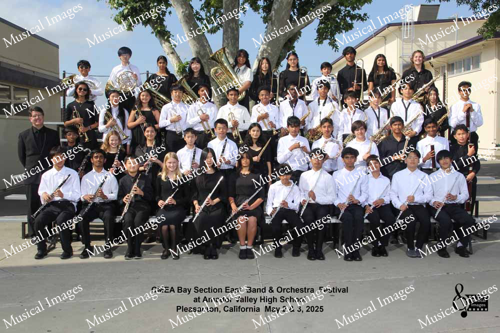 Musical Images